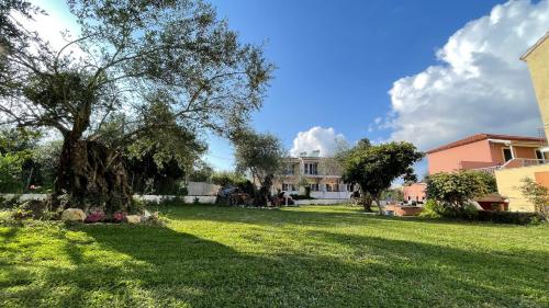 Kavos Aparthotel 4