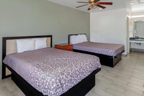Alamo Inn & Suites Downtown - image 8
