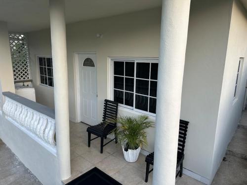 Bird Bliss Burlington Portland in بورت انتونيو