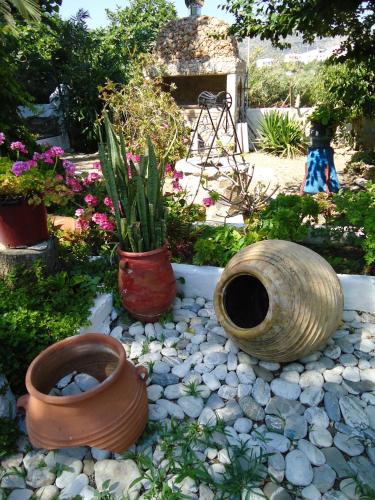 Pension Sofia Amorgos - image 8