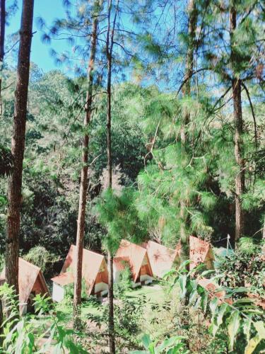 Samantha Hotel Campestre in Santa Cruz Verapaz