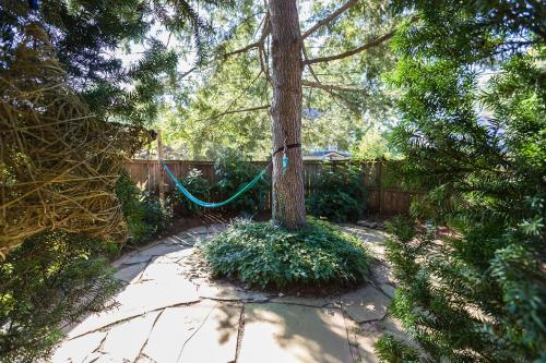 West Park Gardens - image 10