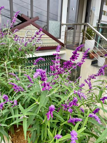 Alu Homestay SaPa - 숙소 외관