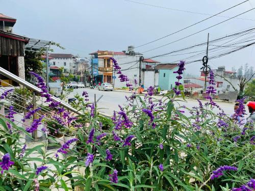 Alu Homestay SaPa - 숙소 외관