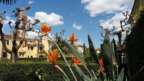 Albergo Roma