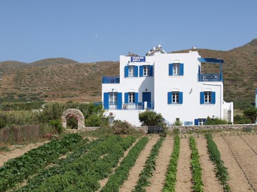 Pension Sofia Amorgos - image 6