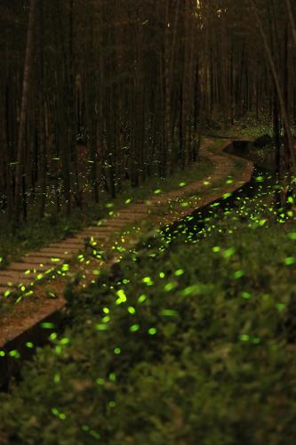 鋐洋民宿 in Lugu Township