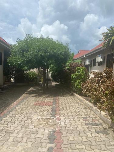 Colobus View Lodge in Bagamoyo