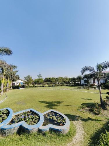 Deefarms, Noida (Foto 8)