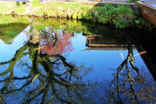 周辺観光スポット