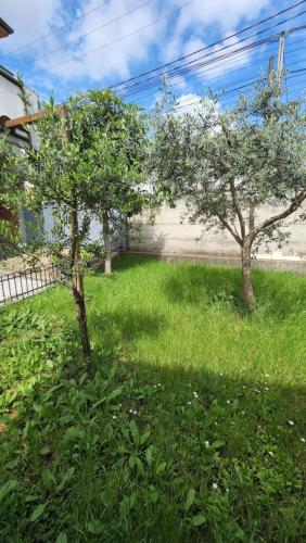 Kalpazo Tirana Vila 313, Tirana (photo 8)