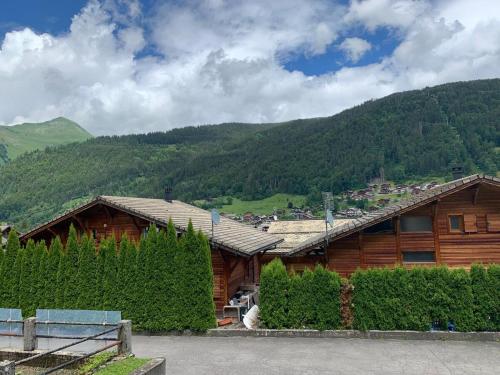 Charmant studio Morzine Centre in Morzine