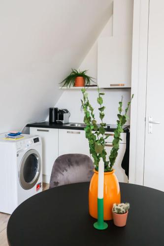 Saftliving, Rotterdam (photo 5)