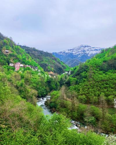Amiras Dağevi (Amiras Dagevi) in Fındıklı