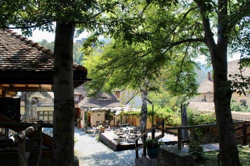 Dārzs, Pensiunea Agora in Cisnadioara