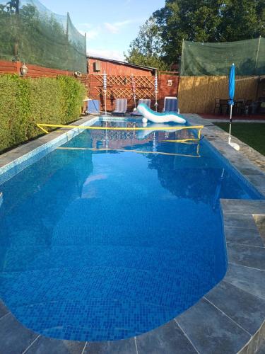 Úszómedence, La Plantă-Therme Airport Bucharest (La Planta-Therme Airport Bucharest) in Saftica