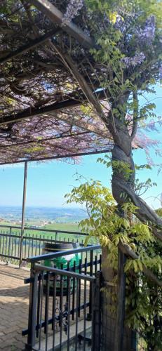 Casa vacanza il colle del vento in Calosso