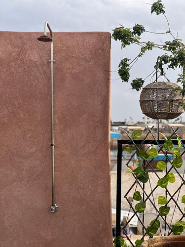 Riad malak - image 12