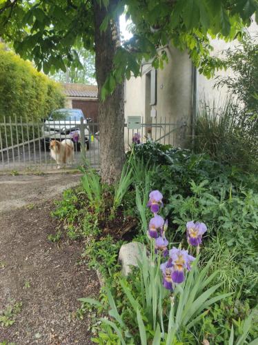 Maison HENRIA gîte à louer Cendras