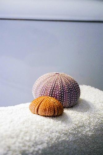 Pension Ageliki Kalogera in Mykonos