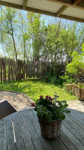 ogród, De Verborgen Pracht in Schagen