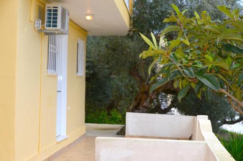 Eleni Studios, Tsilivi (fotografie 5)