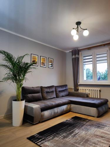 Apartament Raven