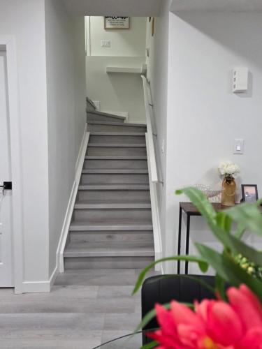 Elegant & Cozy 2 Bdrm Basement suite near WEM & Misericordia in Acheson (AB)