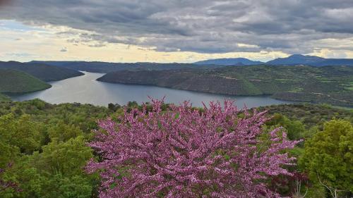 Közeli látványosságok, Ca la Paca in Ponts