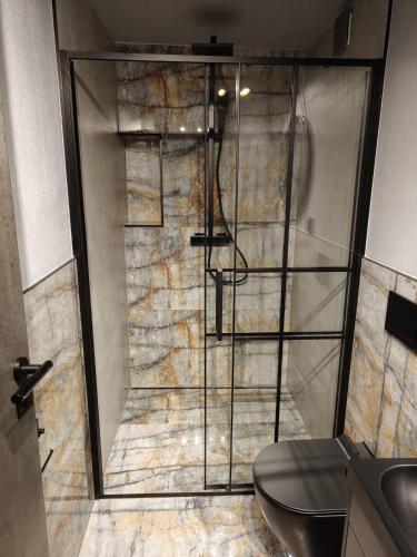 Antracyt Apartament in 施扎夫諾茲德魯伊