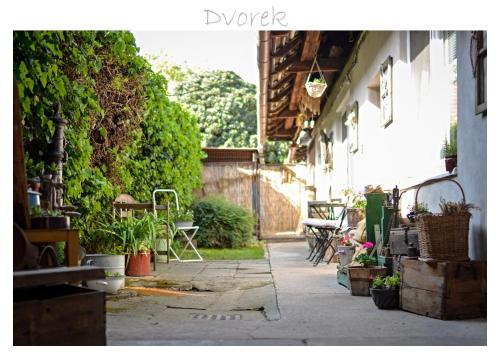 Ubytovani U Trati in Moravska Nova Ves