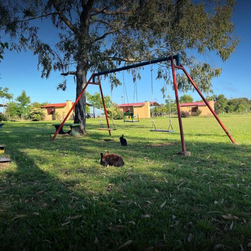 Posada del Pio, Granja in Termas Guaviyu