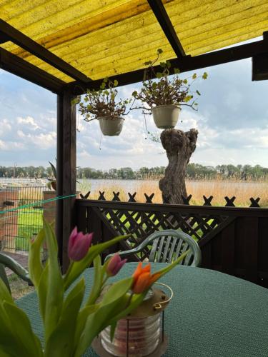 Viesnīcas āriene, Ferienwohnung im Haus am See in Seeblick