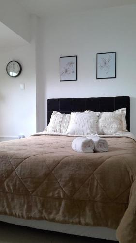 One-Bedroom Apartment room in Estetica ubicación y funcionalidad