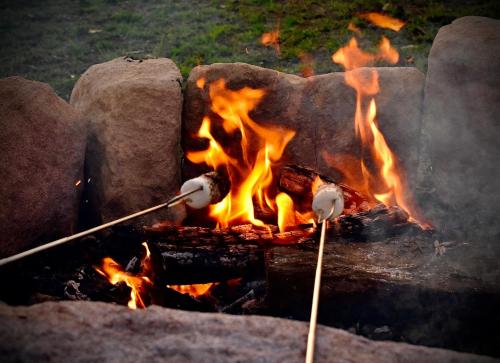 Ketchup's Bank Glamping