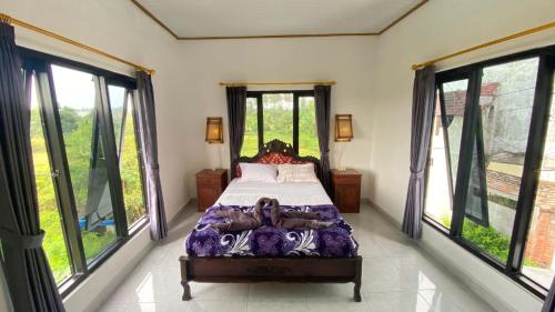 Darren Hostel in 洛維納海灘