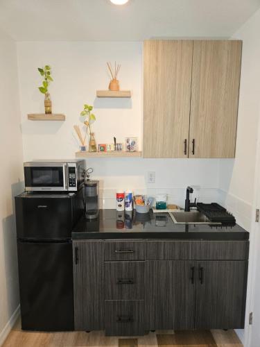 Newly Renovated Modern Studio in Oviedo, USA