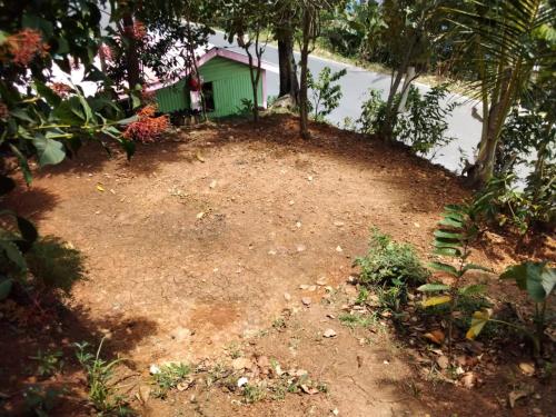 Camp in the Kalinago Territory in Atkinson