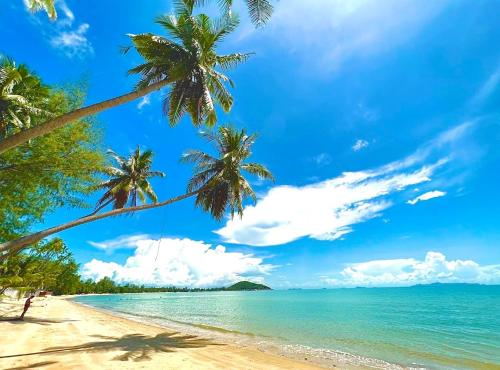 Lipa Lodge Resort near Lipa Noi Beach