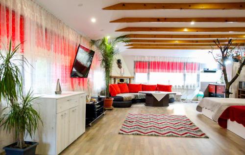 Közös társalgó / TV, Studio Madi - Close to beach in Inel 1