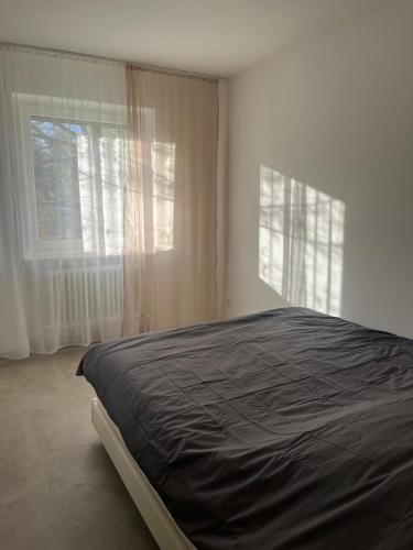 Modern apartment in Nuremberg, Nürnberg (photo 10)