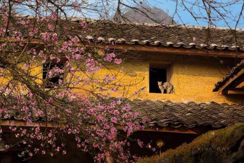 Homestay & Cafe Cực Bắc