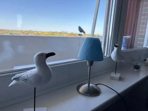 Tief 10 Abendsonne mit Internet 508 in Wangerland, Deutschland