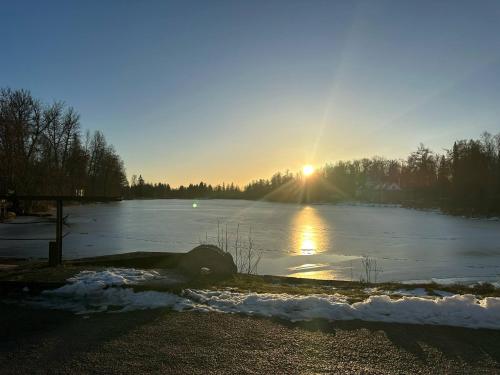 Skats, Hellenurme Veskikambrid in Tartumaa