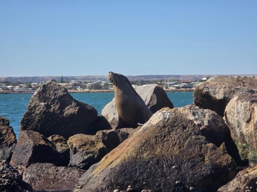 Sunset Beach B&B in Geraldton