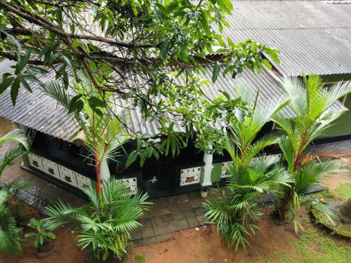 Green Bamboo House, Sigiriya
