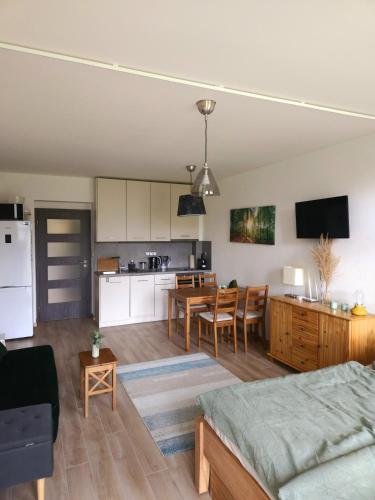 Iekārtas, Lesní apartmán Hamry (Lesni apartman Hamry) in Hojsova Straza