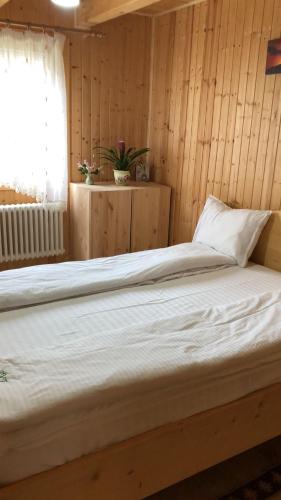Pensiunea Valea Tonii in Sasciori