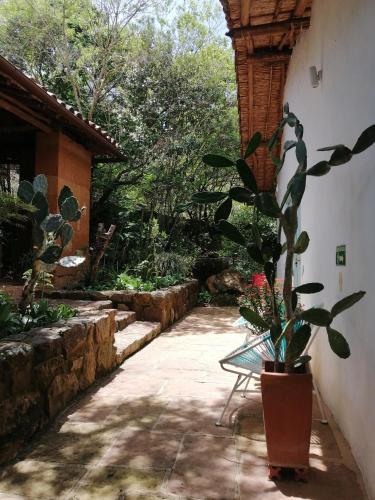 El Paraiso - B&B Finca San Vicente