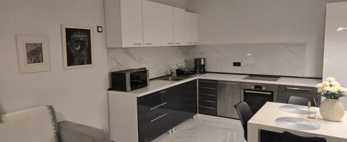 Fasiliteter, Vila V & S in Star Dojran